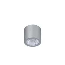 Потолочный светильник Favourite 2808-1C