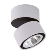 Светильник накладной заливающего света со встроенными светодиодами Lightstar Forte 213859