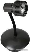 Точечный светильник Lussole Loft LSP-9820
