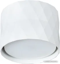 Точечный светильник Arte Lamp Fang A5552PL-1WH