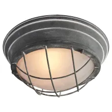 Светильник потолочный Lussole lSP-9881