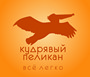 логотип компании Частное предприятие "Кудрявый пеликан"