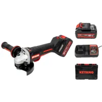 Угловая шлифовальная машина Keyang DG20BLH-125PV (Set)