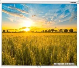 Проекционный экран Lumien Eco Picture 115x180 LEP-100121