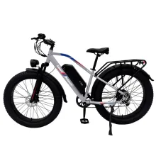 Электрический велосипед SmartBalance X-Fat