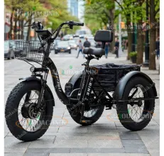  SHTENLI Трехколесный электровелосипед Shtenli Trike