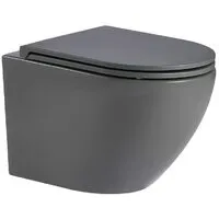Унитаз подвесной WeltWasser Merzbach 043 MT-GR