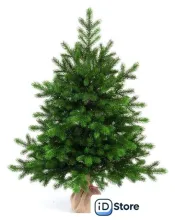 Ель National Tree Company Грация Премиум ГР/ПР-90 90 см