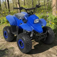 Квадроцикл детский Storm Robo 110