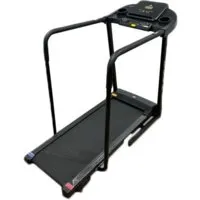 Электрическая беговая дорожка DFC Cynos T175