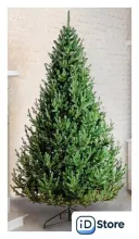 Ель GreenTerra Элоди 1.8 м