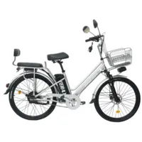 Электровелосипед Terax Alfa NS008 серебро