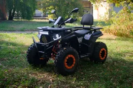 Квадроцикл Minsk Dzik 200 с ПСМ