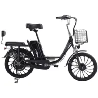 Электровелосипед MyWay Truck 1.0 240 Pro 20 (15, черный)