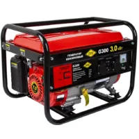 Бензиновый генератор DDE G300 / 919-969