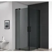 Душевой уголок Cezares SLIDER-AH-2-90/100-100/110-GRIGIO-NERO