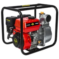 Мотопомпа DDE PN81