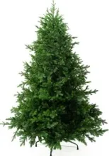 Ель искуственная National Tree Company Грация Премиум ГР/ПР-210 (210см, 3D)