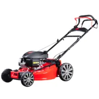 Газонокосилка бензиновая Fubag FPL 56 SMH / 46297