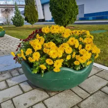 Цветочница " Чаша А " 480х240мм