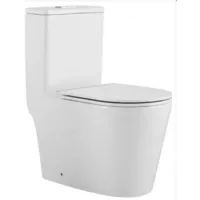 Унитаз напольный CeramaLux TR2178MN TORNADO