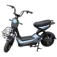 Электроскутер Smart Balance Minicooper 13 (серый)