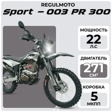 Мотоцикл Regulmoto Sport-003 PR 300
