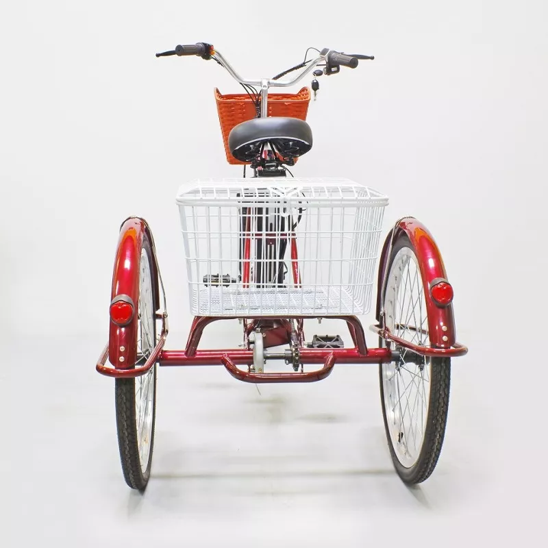 Электровелосипед GreenCamel Trike-24 R24 (250W 48V) 7sp