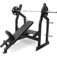 Скамья для жима BRONZE GYM AL-305