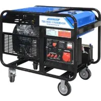 Бензиновый генератор ТСС SGG 17000EH3A