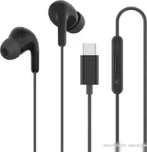 Наушники Xiaomi Type-C Earphones M2413E1 (черный, международная версия)