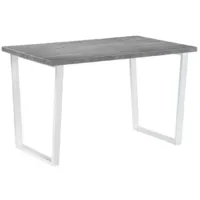 Обеденный стол Notta Лота Лофт 120 25 мм (бетон/белый матовый)