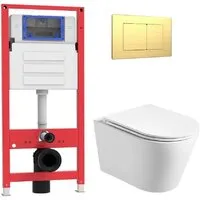 Унитаз подвесной Oliveeka OL-MQ-003 OL-6016 OL-E12-BG (матовое золото)