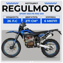 Мотоцикл Regulmoto Sport-003 PR PRO 300 (4 valves) 6 передач
