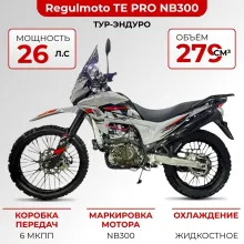 Мотоцикл Regulmoto TE PRO NB300
