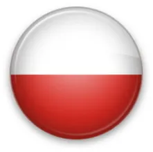 Переводчик польского языка