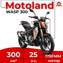 Мотоцикл дорожный Motoland WASP 300