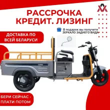 Грузовой трицикл AVM Cargo mini 800