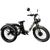 Электровелосипед Smart Balance Tank Trike 2025 (камуфляж)
