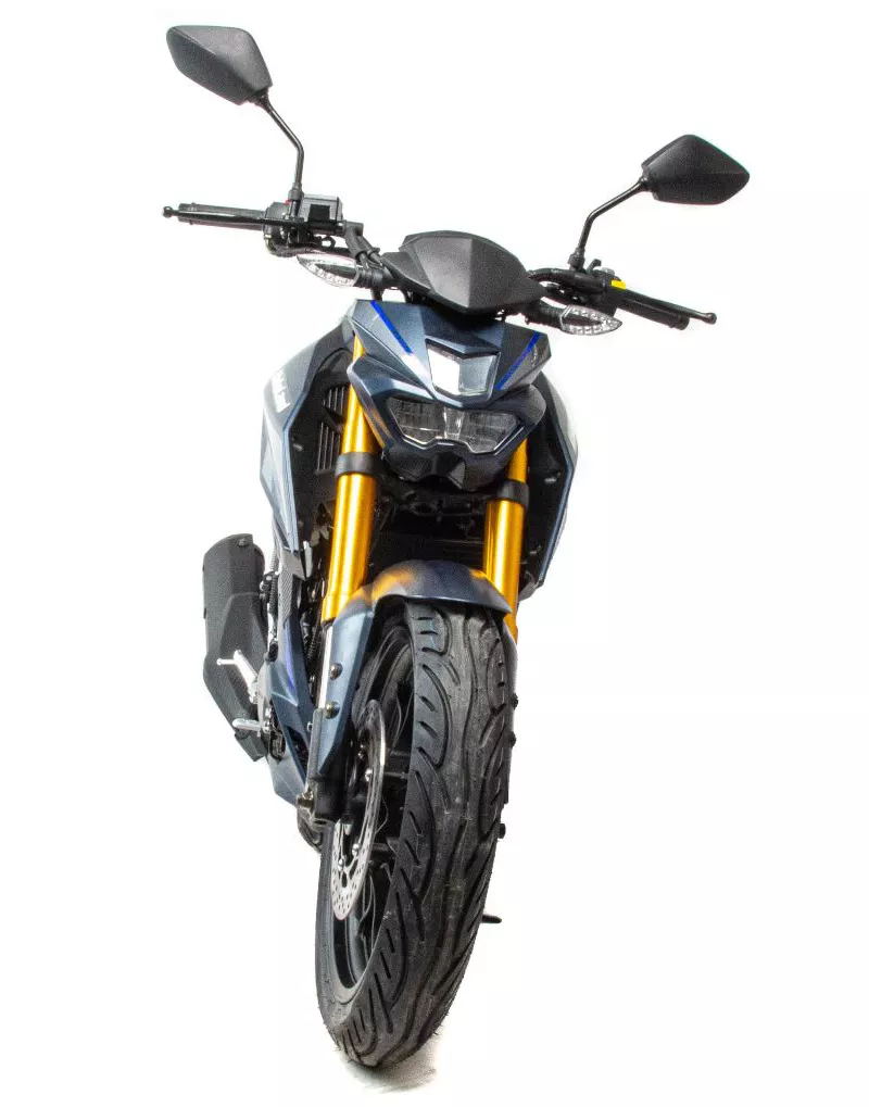 Мотоцикл Motoland MT 250 (172FMM-5/PR250)