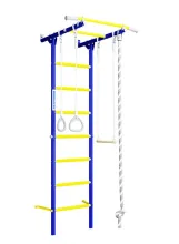 Детский спортивный комплекс Romana S1 (01.21.7.06.490.05.00-13, синяя слива)