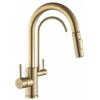 Смеситель для мойки Rea Eco Fresh gold matt B7596