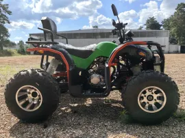 Квадроцикл Storm MAX 300 X