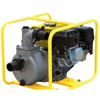 Мотопомпа Champion GP50