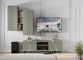 Гостиная Олива - Комплект 2 - Дуб Каньон/Эвкалипт Софт MF12 (BTS)