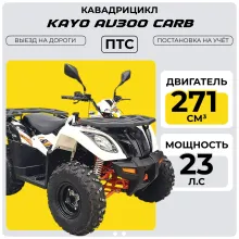 Квадрицикл KAYO AU300 Carb