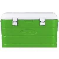 Термобокс Арктика 2000-60 (зеленый)