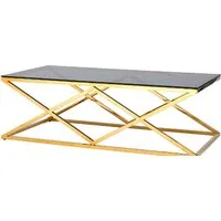 Журнальный столик Stool Group Инсигния 120x60 ECT-026-TG-SK (стекло smoke/сталь золото)