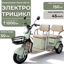 Трицикл GreenCamel Пони Z8 V2 (72V20Ah 1000W) дифференциал