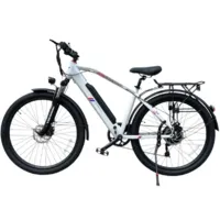 Электровелосипед Smart Balance City Серый (2025)